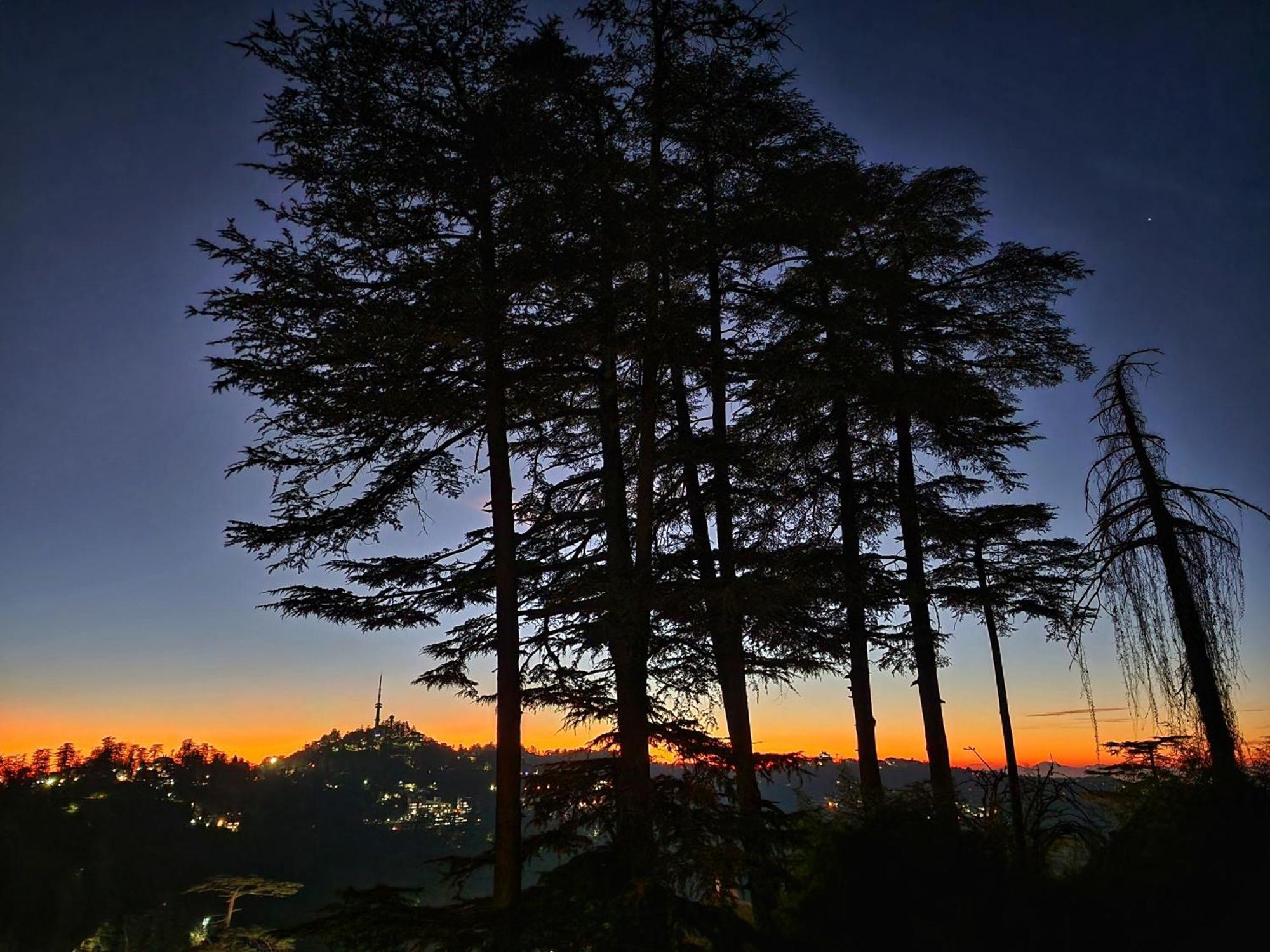 Hotel Pineview Shimla Exterior foto